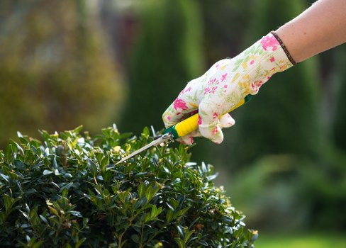 Patio Cleaning