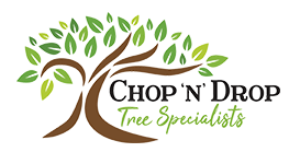 Professional Block And Land Clearing Services In Newcastle!