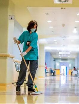 Professional Mattress and Carpet Cleaning Services in Ipswich