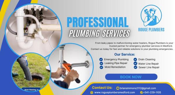 Rogue Plumbers