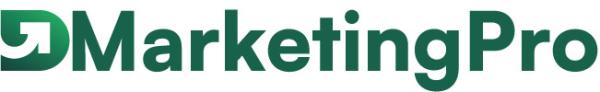 SEO Consulting Services by D Marketing Pro - Best SEO Agency in Noida