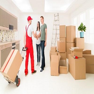 Toms Removals