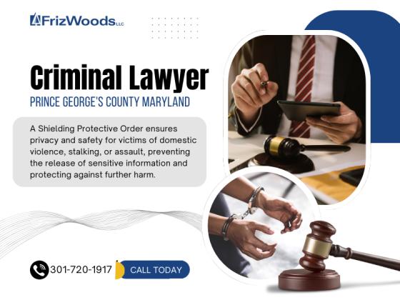 FrizWoods LLC - Criminal Defense Law Firm