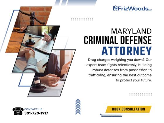 FrizWoods LLC - Criminal Defense Law Firm