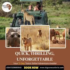 Unveil the Magic of the Wild with Mombasa Safari Tour Packages