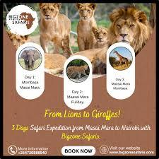 Unveil the Magic of the Wild with Mombasa Safari Tour Packages