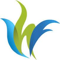 Video Editor (International Humanity Foundation)