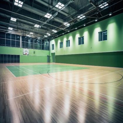 Vinyl Sports Flooring Ltd