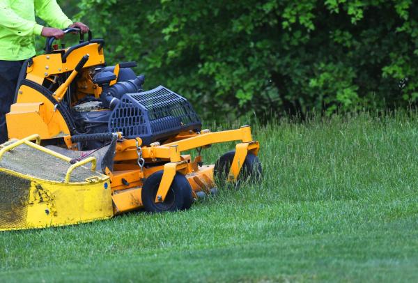 Wallingford Landscaping