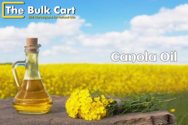 Wholesale Canola Oil for Industrial and Commercial Use