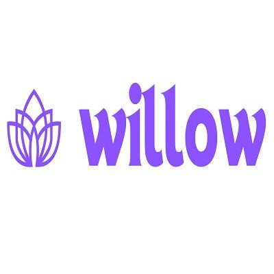 Willow Therapy Services
