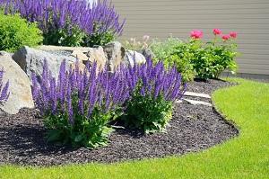 Young's Lawn Care LLC