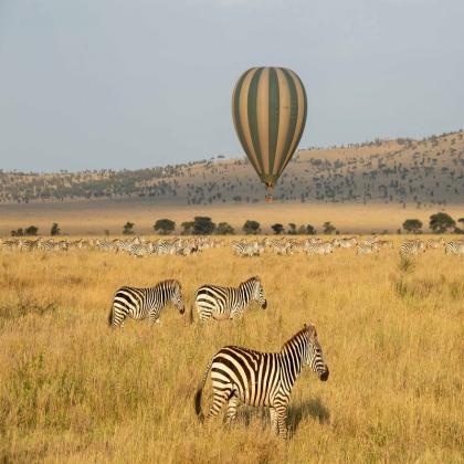 Your Gateway to the Best Kenya Safaris