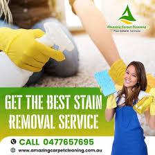 Your Go-To Carpet Cleaning Service in Ipswich
