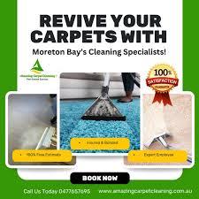 Your Go-To Carpet Cleaning Service in Ipswich