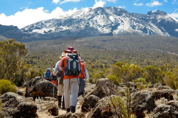 Your Ultimate Tanzania Safari Awaits