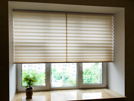 Zebra Blinds