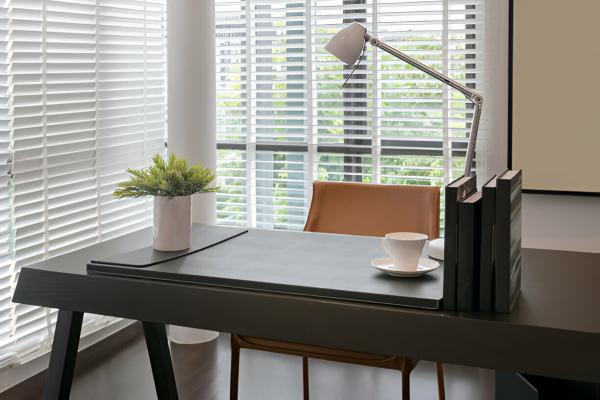 Zebra Blinds