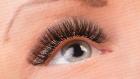 4D-12D Dramatic Volume Lashes: Secret to the Bold and Beautiful Ey