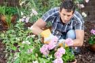 Ava Gardening