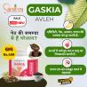 Ayurvedic Medicine for Gastric and Acidity Problems