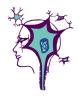 Best Neuro Surgeon in Pune - Dr. Dilip Kiyawat