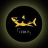 Công ty TNHH Terus - Thiết kế website chuyên nghiệp