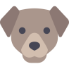 Dog hotel