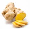Fresh Ginger Exporter