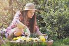 Gardener London