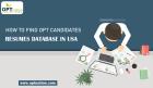 How to find OPT candidates resumes database in USA