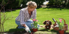Landscape Gardeners