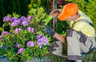 Lawn Mowing Services