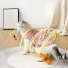 Let your cat explore endless fun with the Cat Adventure Tunnel