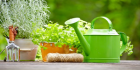 Local Gardener