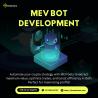 New high-quality services in MEV Bot Development