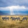 Ngorongoro Crater Awaits You – Book with Fair Tanzania Safaris