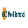 OKC Mold Removal