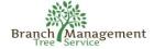Proudly Serving All of Arizona