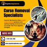 Psychic Raj Sharma | Curse Removal Specialists Astrologer in New Jersey