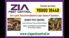 Rodent Pest Control | prevent the entry of rats and mice into your property | 5043