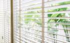 Roller Blinds in Kokapet