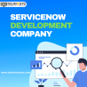 ServiceNow Development Company