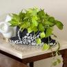 Shop the Best Artisan Planters Online at Project1000