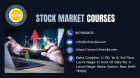 Top Stock Market Courses for Beginners