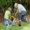 Tree Surgeon