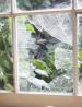 Window Repair and Replacement Experts in Great Neck