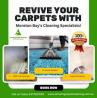 Your Trusted Carpet Cleaning Experts in Ipswich