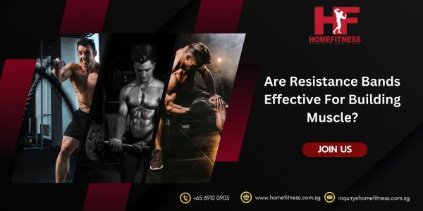 Are Resistance Bands Effective For Building Muscle?