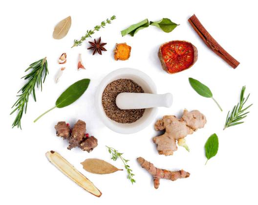 Ayurveda & Advanced Nutrition: Transform Your Health Naturally